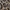 Guess Camo Mix Leopard Hooded photo 4