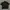 Andersson bell polo shirt photo 2