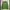 Vintage Y2K Cardigan Pria green black photo 1