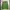 Vintage Y2K Cardigan Pria Green Black