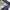 Uniqlo Casual Casual pants Pria blue photo 4