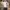 SUKAJAN DRAGON TORA RYU SKULL POLO SHIRT TEXTURE RARE ITEM!! photo 1