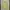 Y2K Fairy Cardigan Wanita green photo 1