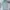 Burberry Vintage Luxury Midi dress Wanita green photo 1