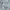 Burberry Vintage Luxury Midi dress Wanita green photo 6