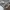 Camo Cargo
Button Fly
Lp 94 photo 8