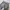 Camo Cargo
Button Fly
Lp 94 photo 3