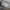 Camo Cargo
Button Fly
Lp 94 photo 9
