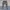 Camo Cargo
Button Fly
Lp 94 photo 2