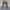 Camo Cargo
Button Fly
Lp 94 photo 1