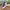 Sepatu bola kulit asli kulit sol jahit keliling  photo 1