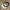 Oakley X New Era Fitted Cap photo 4