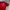 Jersey MU 95-96 photo 2