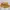 Tutu // Skorts Mustard Yellow Layer Tulle photo 3