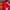 Scuderia Ferrari F1 Team Jacket Vintage Original Merch
