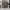 Kaos decathlon camo L army new photo 1
