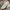 CONVERSE 70’ chuck taylor  photo 2
