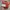 CONVERSE 70’ chuck taylor  photo 9