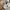 CONVERSE 70’ chuck taylor  photo 4