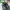 New Balance 580 Gore Tax Army Green