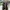 Sepatu Boots Akar Footwear