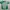 Casual Jersey Pria green photo 1