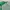 Casual Jersey Pria green photo 3