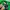 Casual Jersey Pria green photo 4