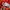 Adidas Casual Track jacket Pria orange photo 5
