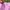 Kaos Disneyland Hongkong pink photo 3