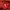 nike tech red photo 2