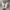 Vans Ave Pro Beatrice Domond White Bone Jade photo 2