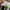 Newbalance 550 whitewolf photo 7