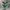 Newbalance 2002r green photo 2