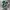 Newbalance 2002r green photo 1