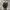 Converse John varvatos high leather photo 5