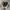 Converse John varvatos high leather photo 3