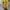 Converse John varvatos high leather photo 7