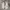 Vans Lowland CC BLT True White Pony photo 3