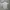 Jersey Adidas Center Trefoil photo 1