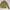 Tan Light Brown High Neck Asymmetrical Denim Outer Jacket 