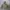 Army Look Parka Ladies Jacket photo 2