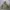Army Look Parka Ladies Jacket