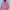 Hoodie hagt photo 4