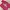 Obey Cropped Streetwear Skater T Shirt Pria Burgundy