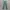 DICKIES 874 OLIVE GREEN  photo 3