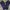 Umbro Vintage Sportswear Tracksuit Pria Navy