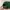Vintage Streetwear Hat Pria green photo 5