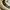 Vans Old Skool Cornstalk photo 5
