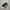 Converse 70s High Black White photo 1